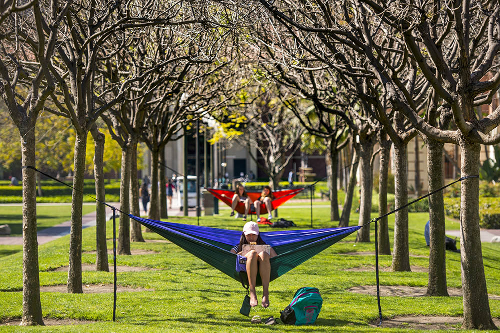 USC students relaxing in colorful hammocks strung between trees on a sunny day, reading and studying on a green campus lawn.